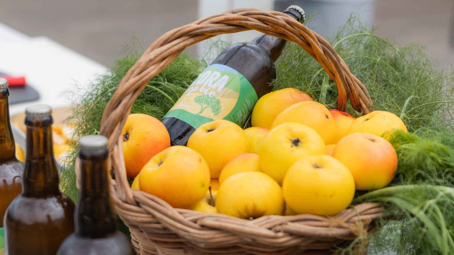 A CAL brinda com sidra à Madeira