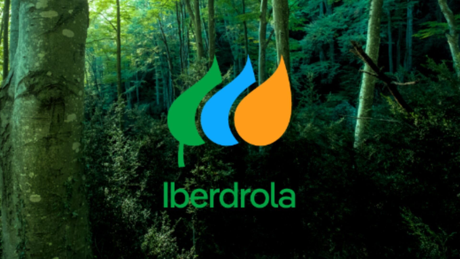 A identidade de marca da Iberdrola evoluiu