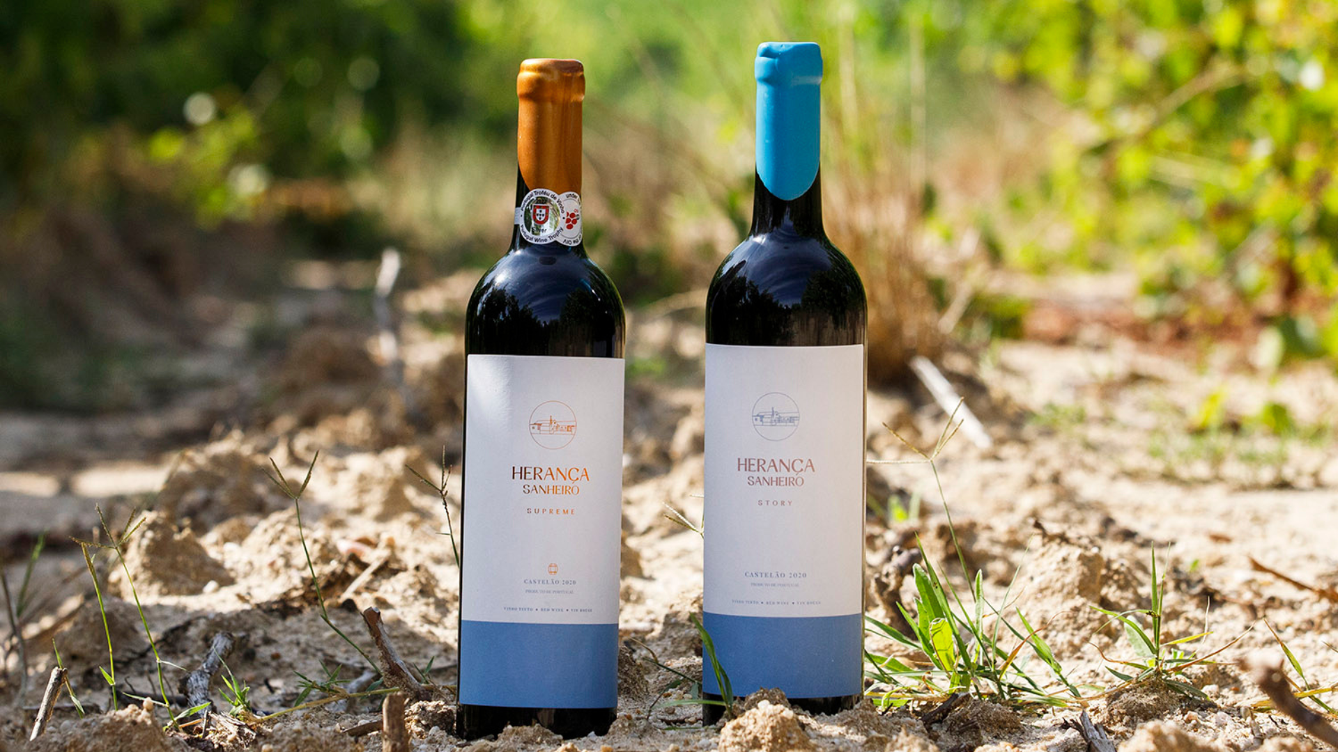 Os vinhos de Setúbal brindam à sua Herança