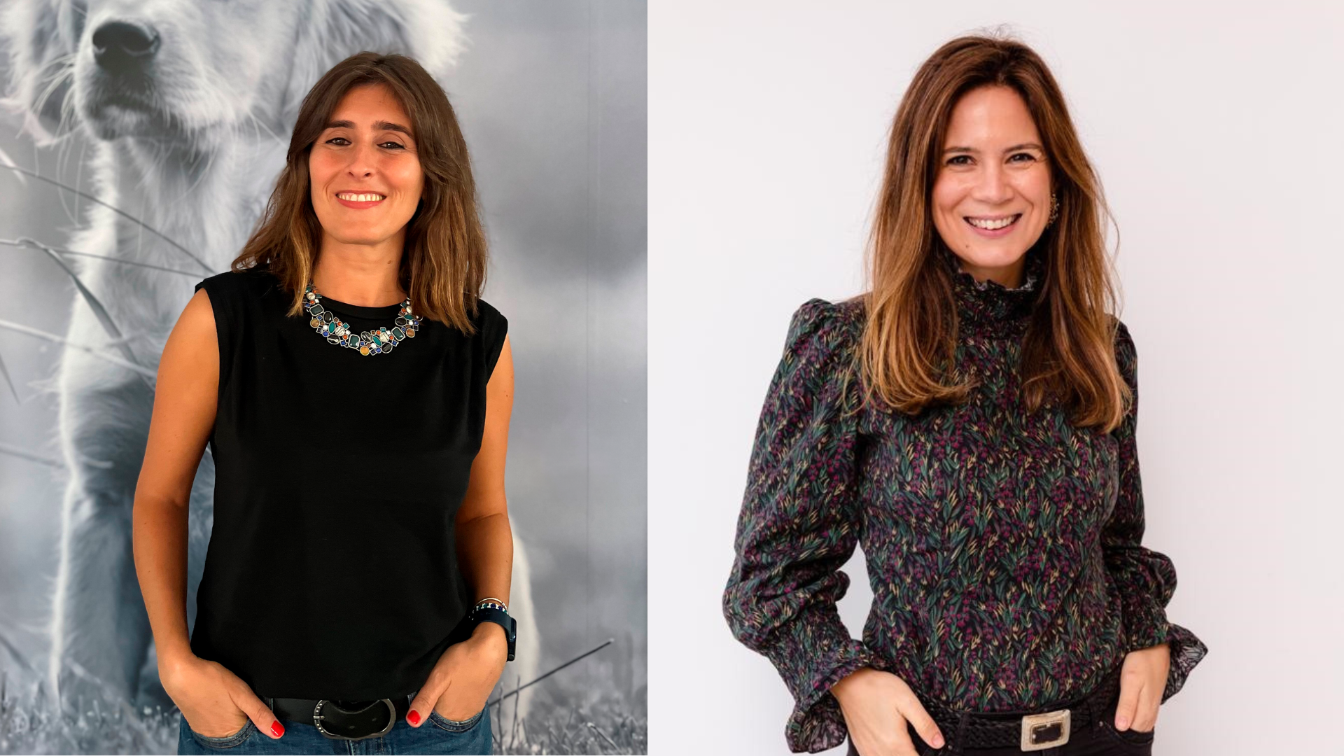 A AniCura renova a sua liderança
