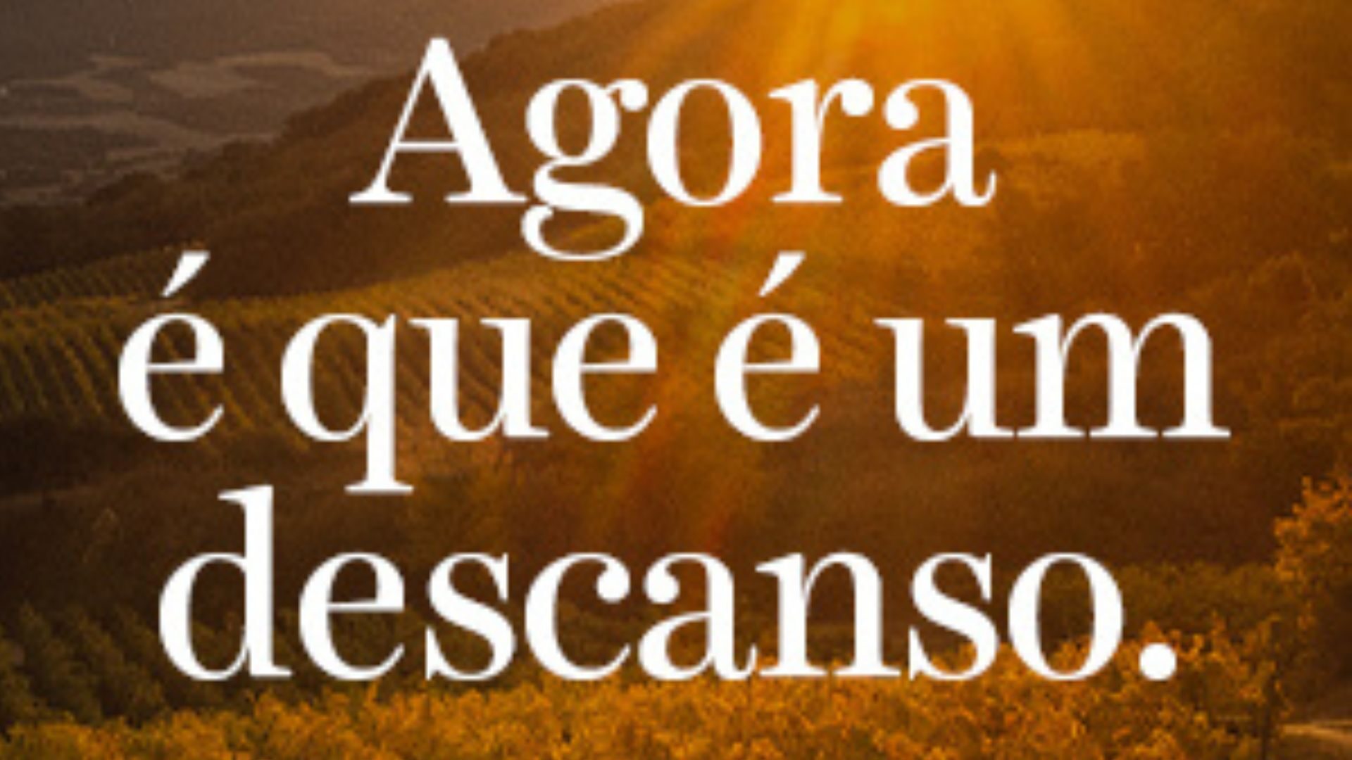 A McCann descansa no Ribatejo e no Alentejo