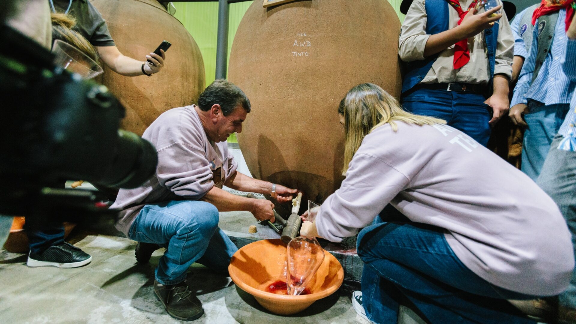 Na Rocim, produz-se vinho e crescimento