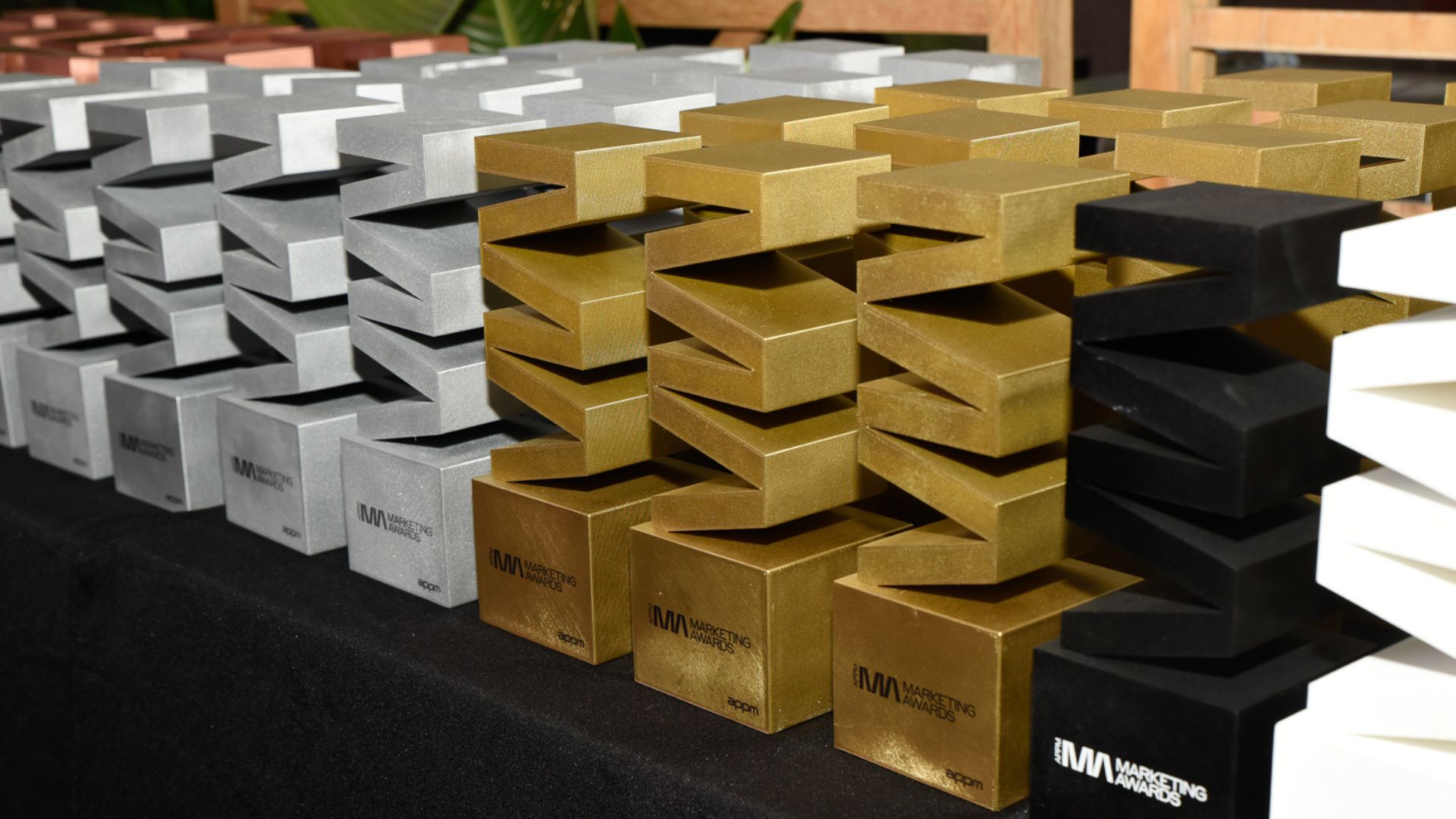 Veja aqui as fotografias da cerimónia