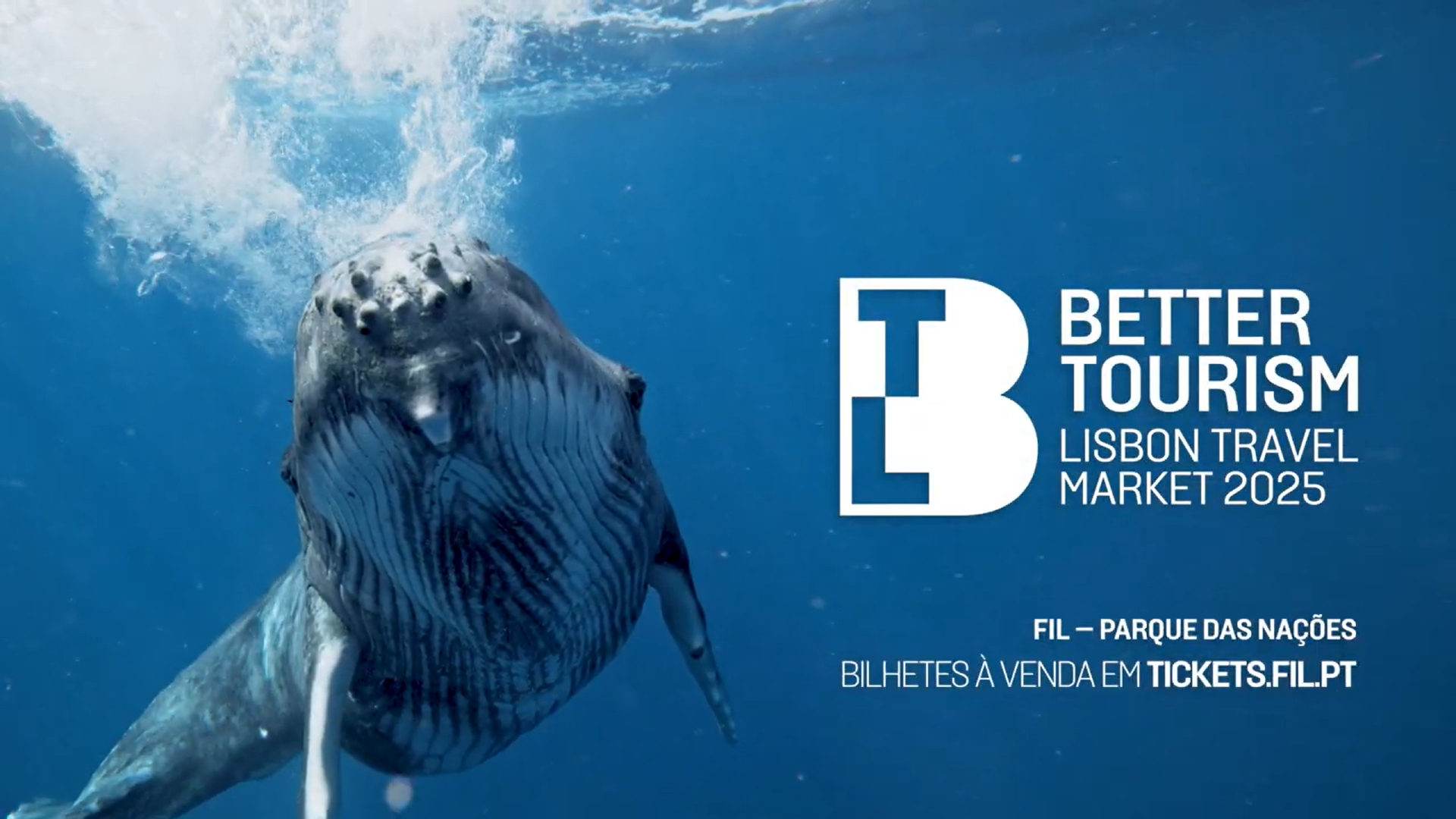 Baleias-jubarte e tartarugas das Galápagos não vão à BTL 2025