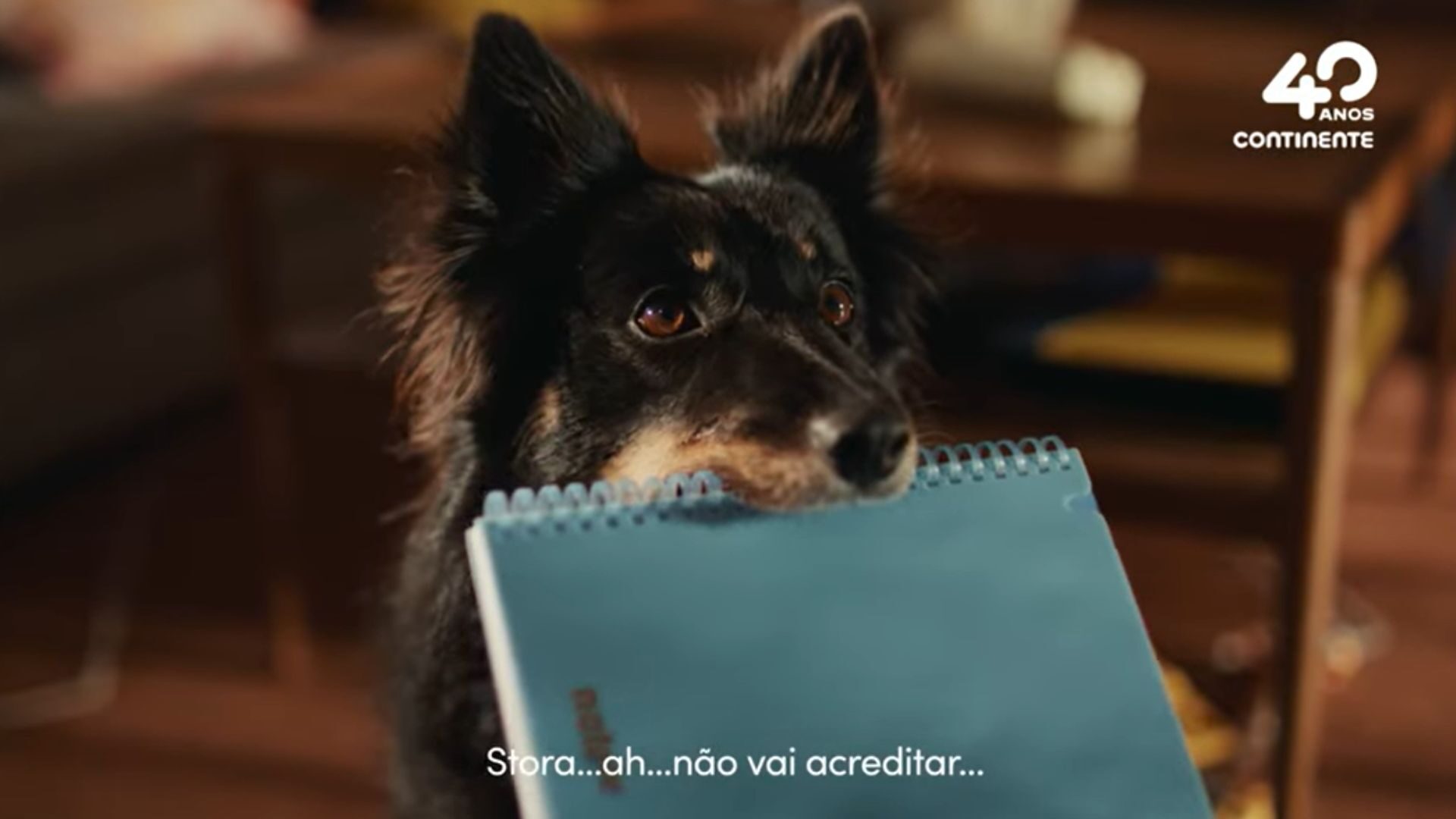 O Continente já regressou às aulas
