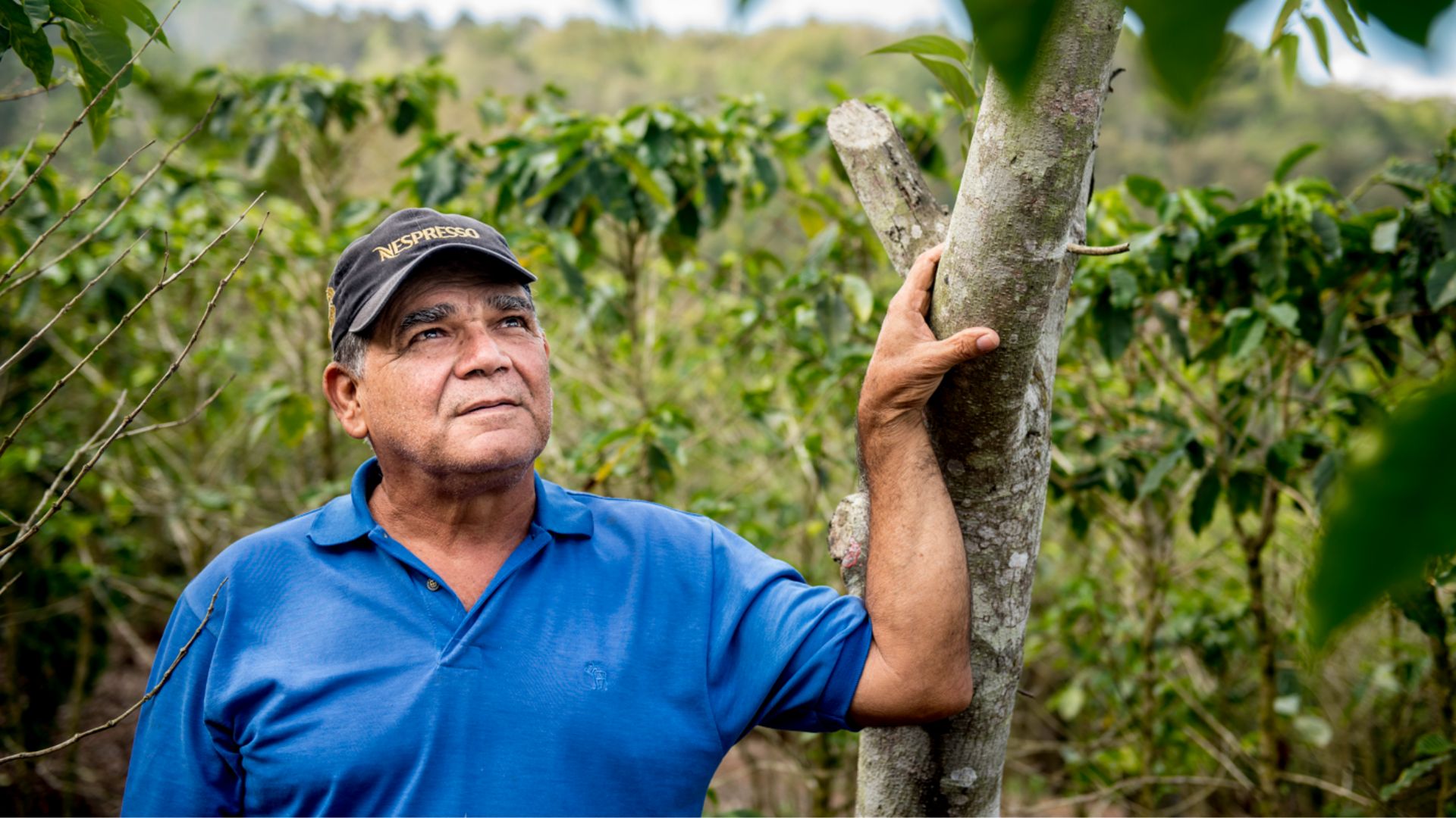 Nespresso recebe Certificação de Agricultura Regenerativa