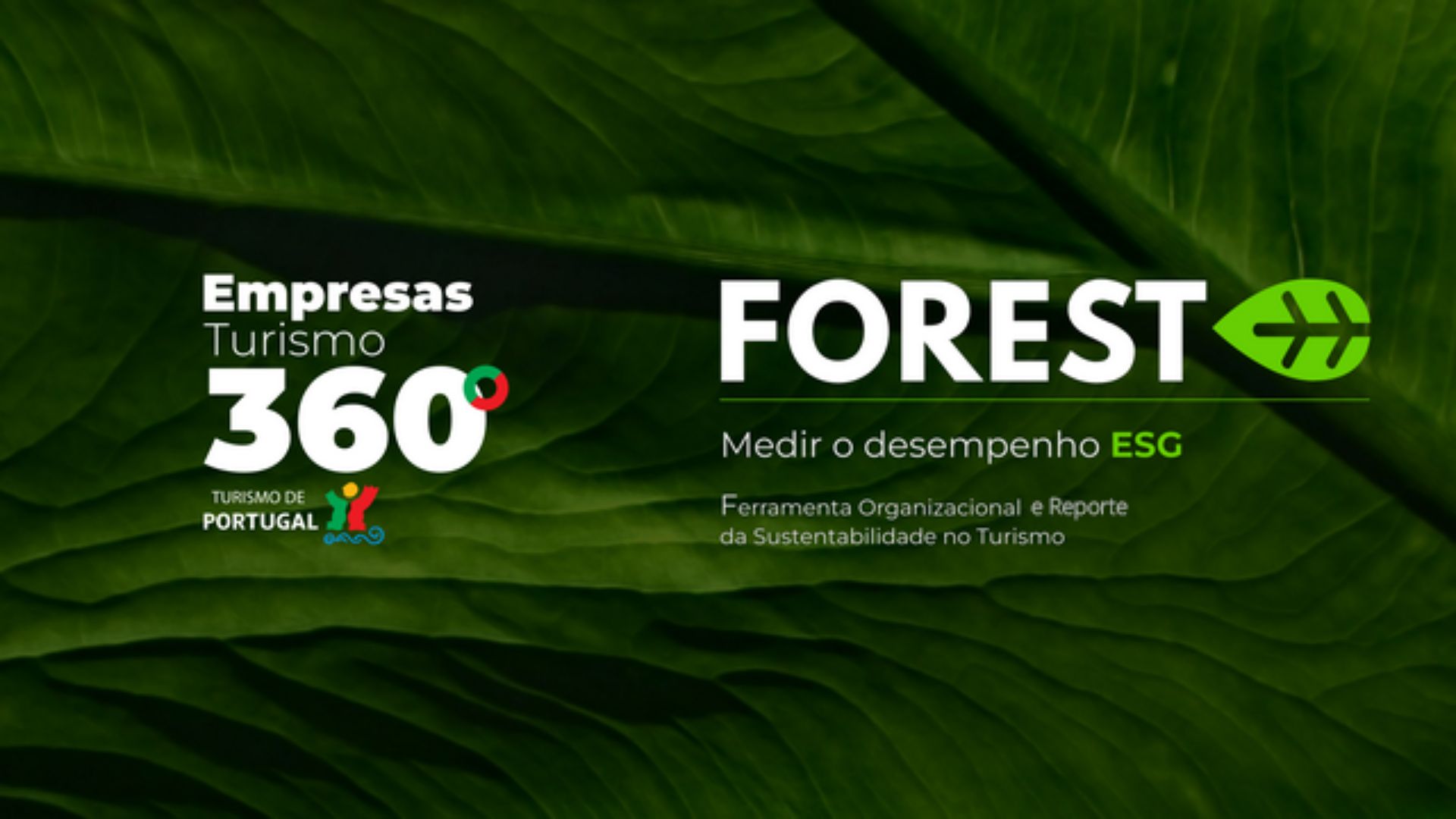 Turismo de Portugal lança ferramenta para tornar empresas mais sustentáveis