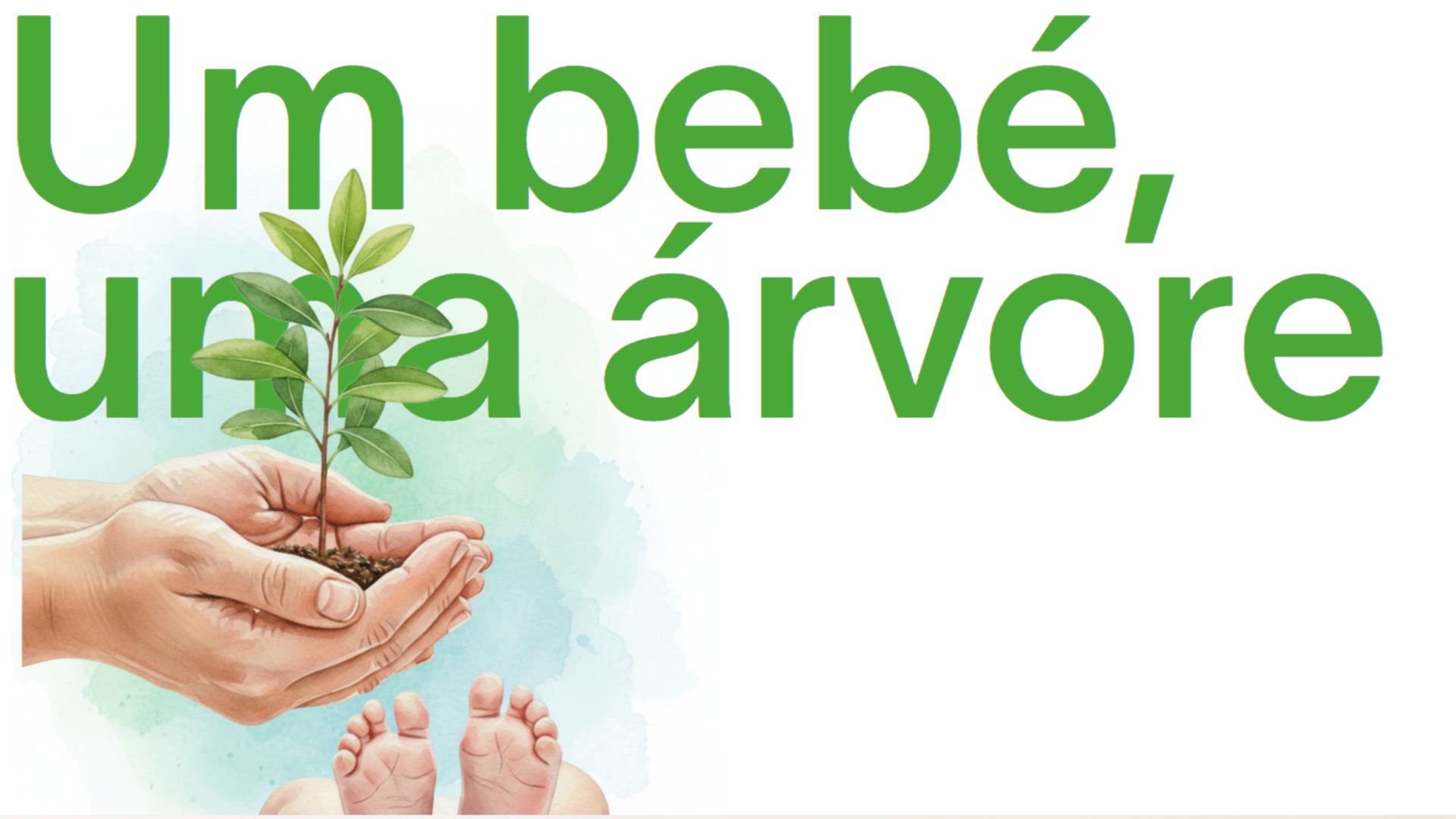 Fidelidade e ZERO recuperam a Mata Nacional de Leiria