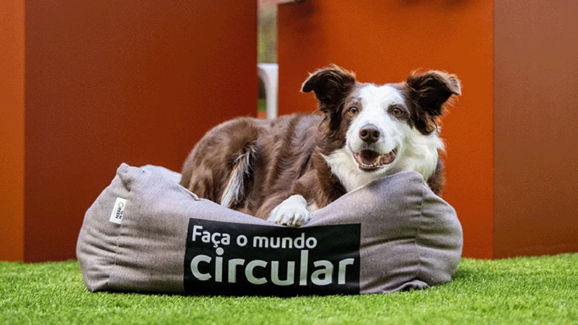 O Metropolitano de Lisboa e a ToBeGreen apoiam a União Zoófila