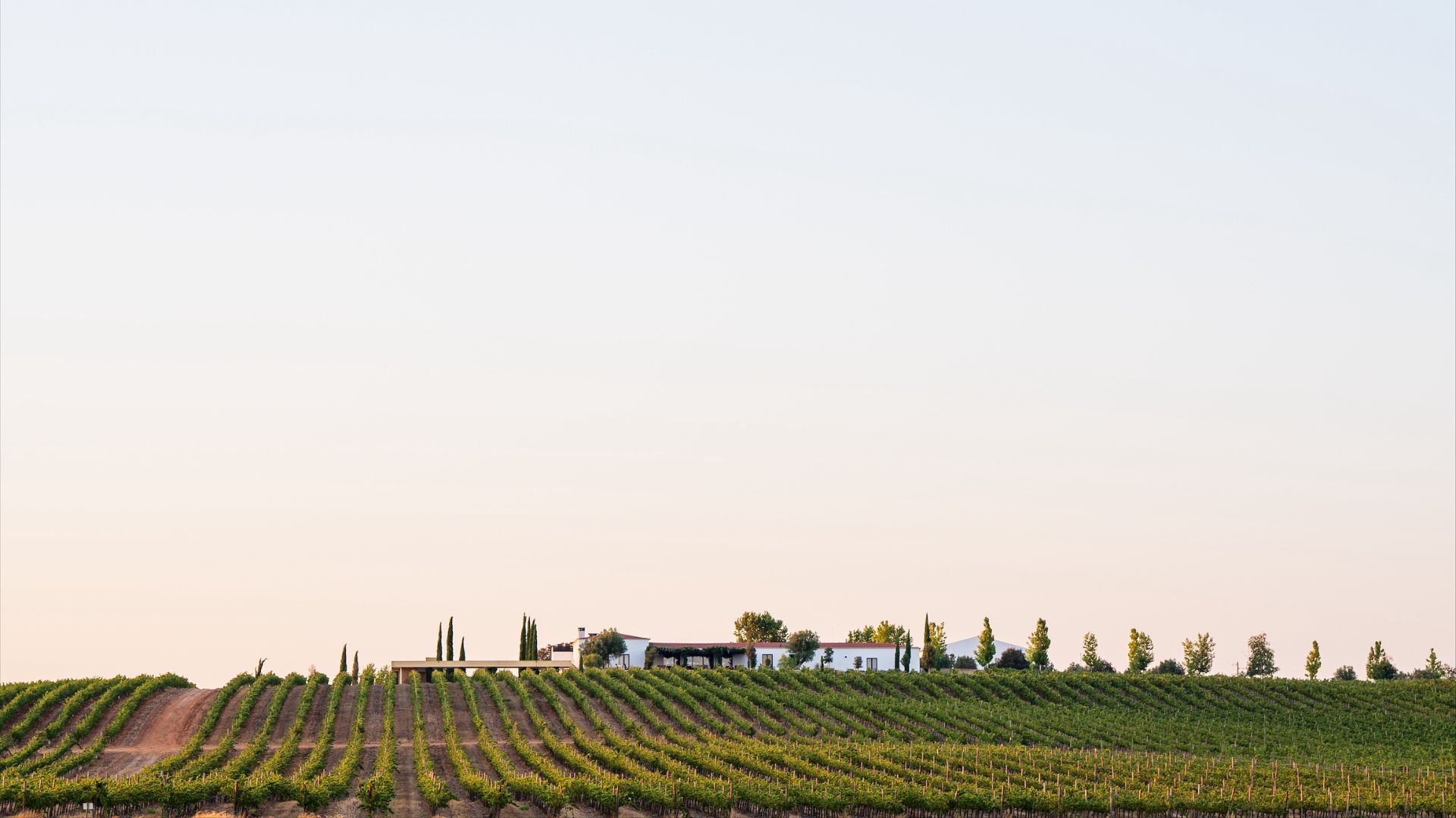 Sustentabilidade do Esporão reconhecida internacionalmente