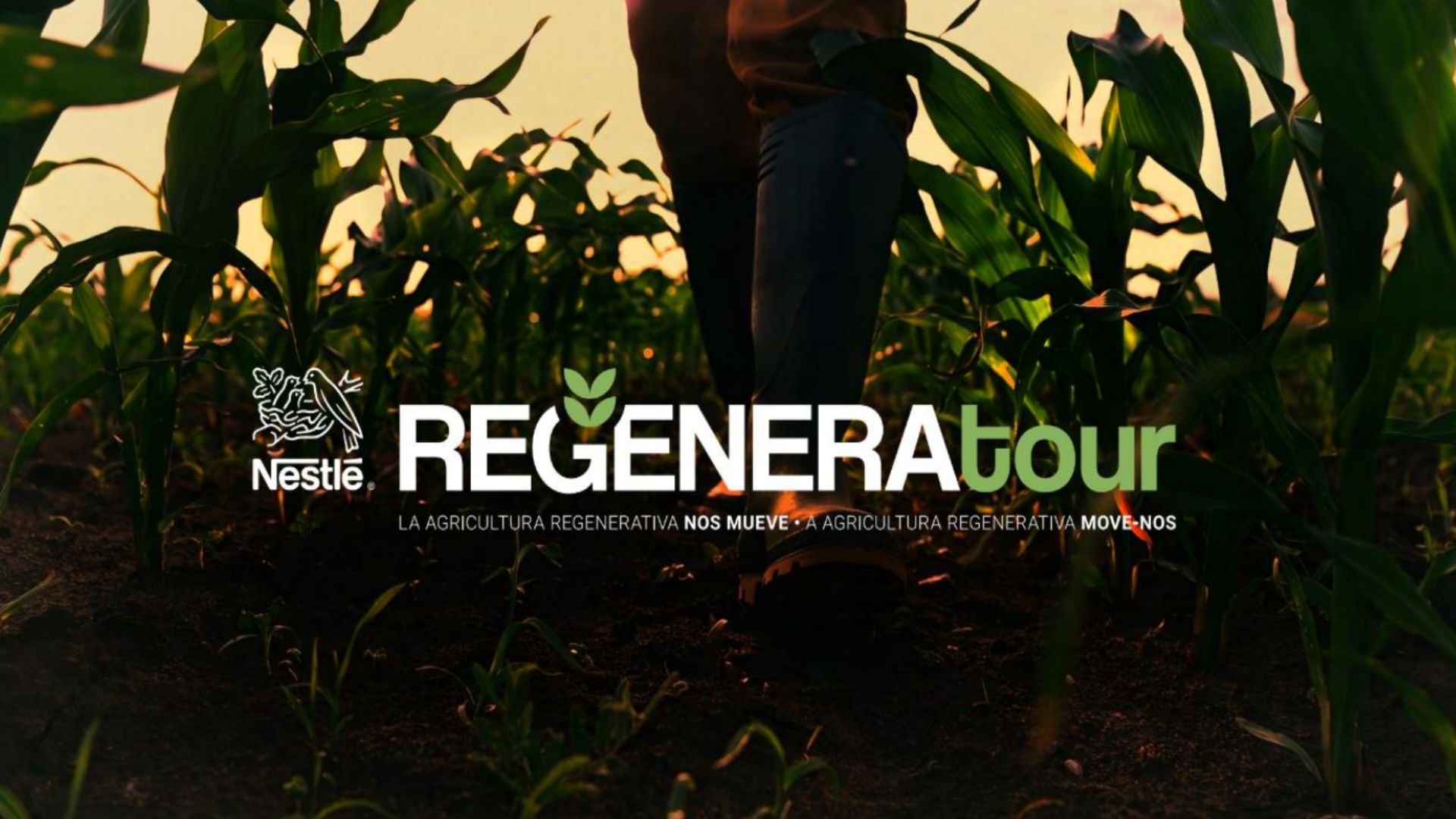 Nestlé Portugal reforça compromisso com a agricultura regenerativa