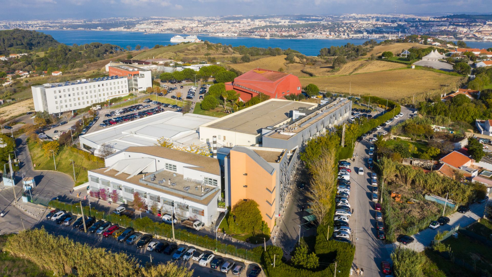 A Egas Moniz sabe onde o saber e o cuidado se encontram