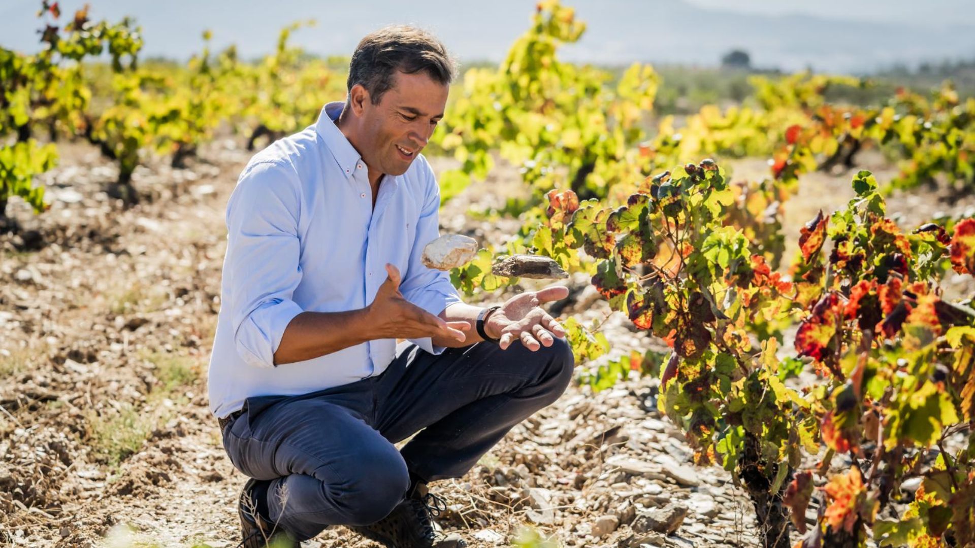 Costa Boal Family Estates reforça compromisso com a sustentabilidade