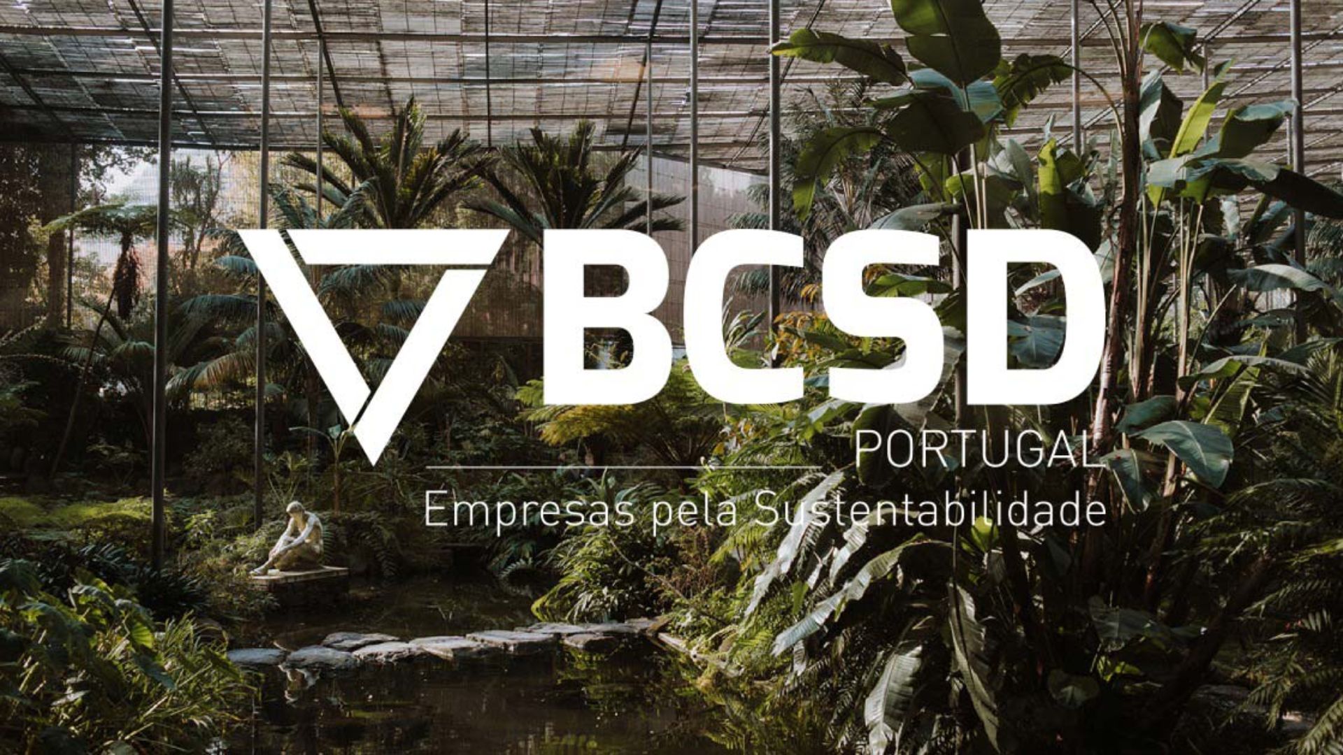 BCSD Portugal apresenta novo Plano Estratégico e Conselho Consultivo