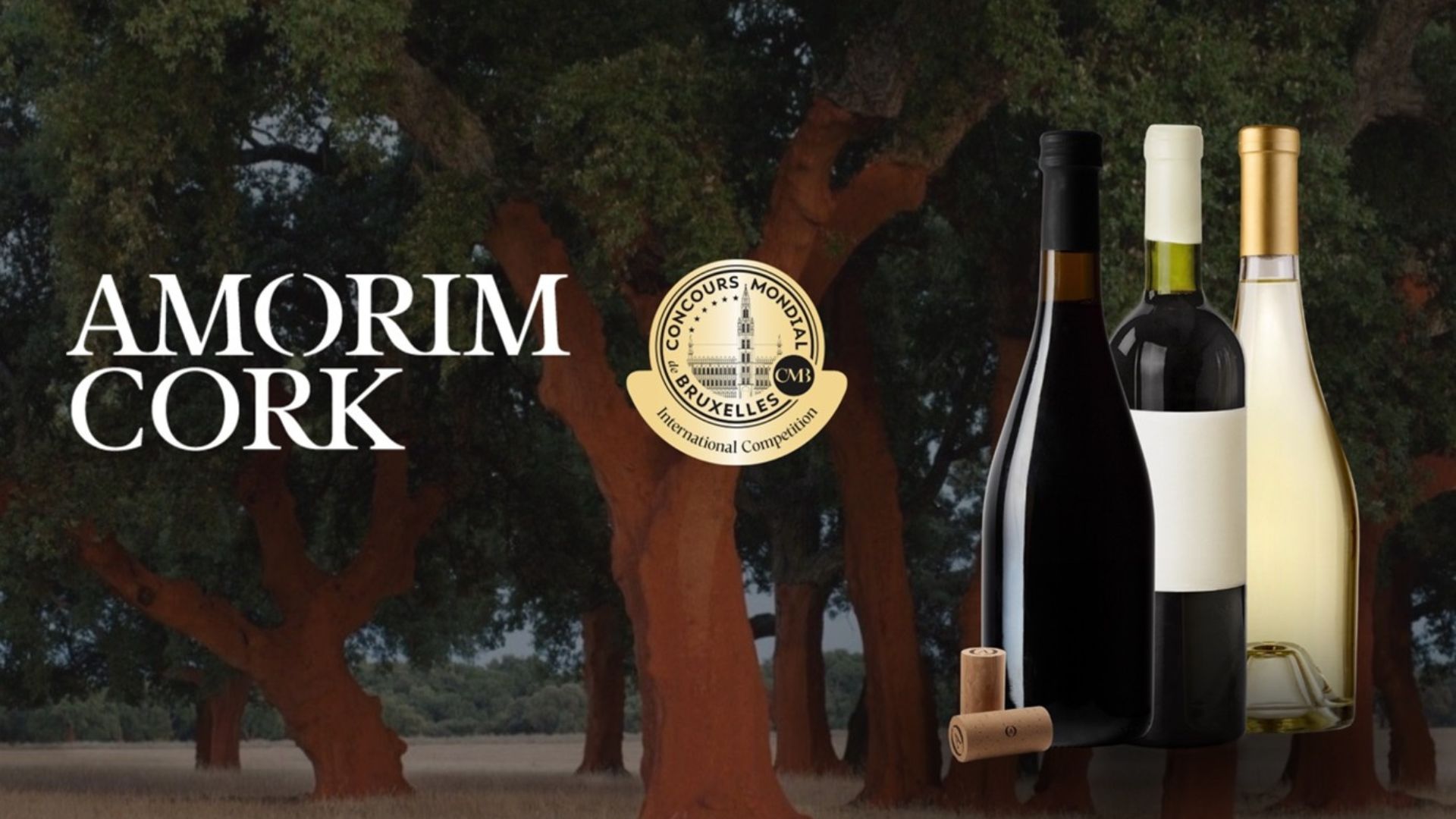O CMB e a Amorim Cork juntam-se para reciclagem de rolhas