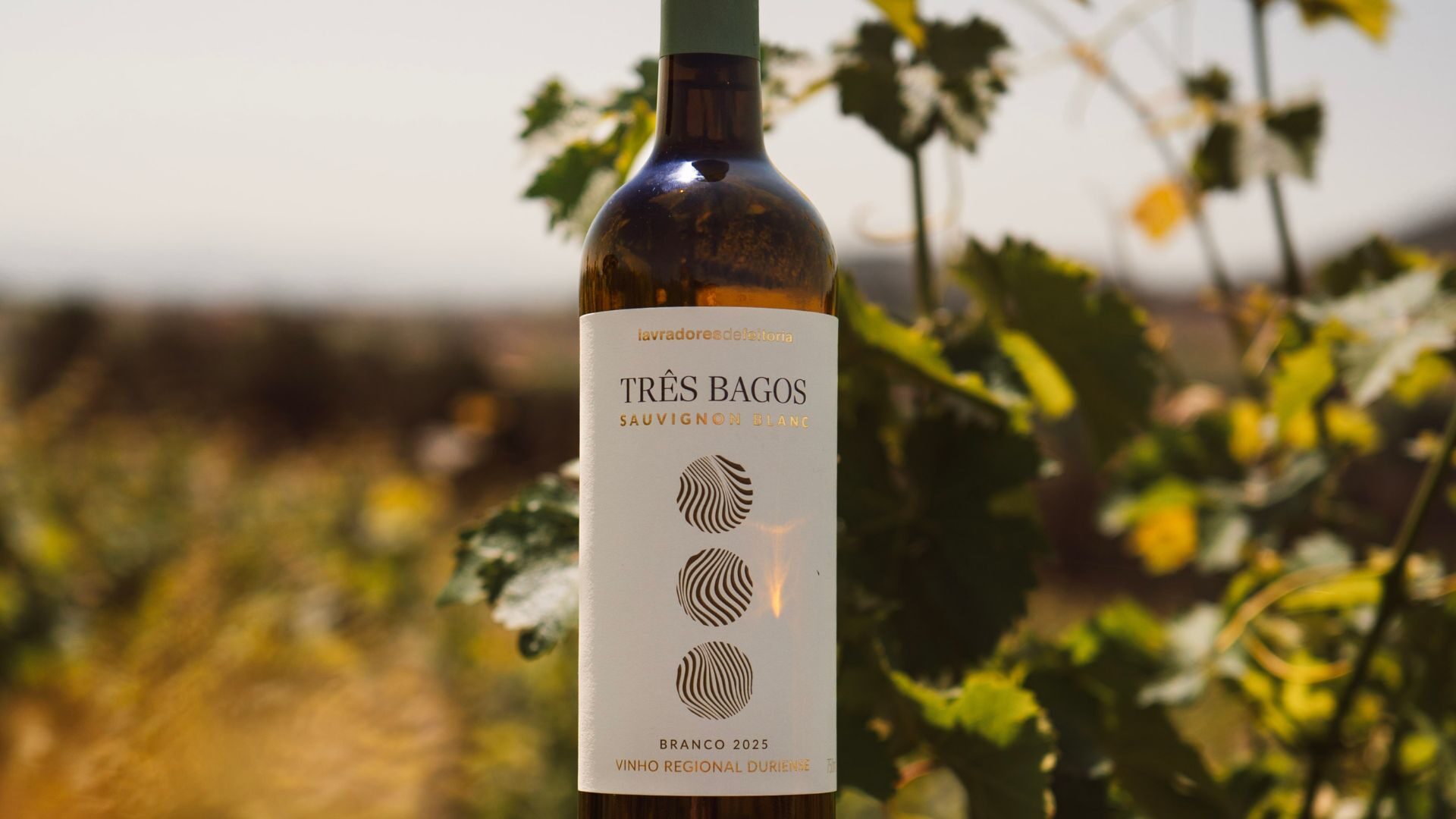 Um novo rótulo? O Três Bagos Sauvignon Blanc tem