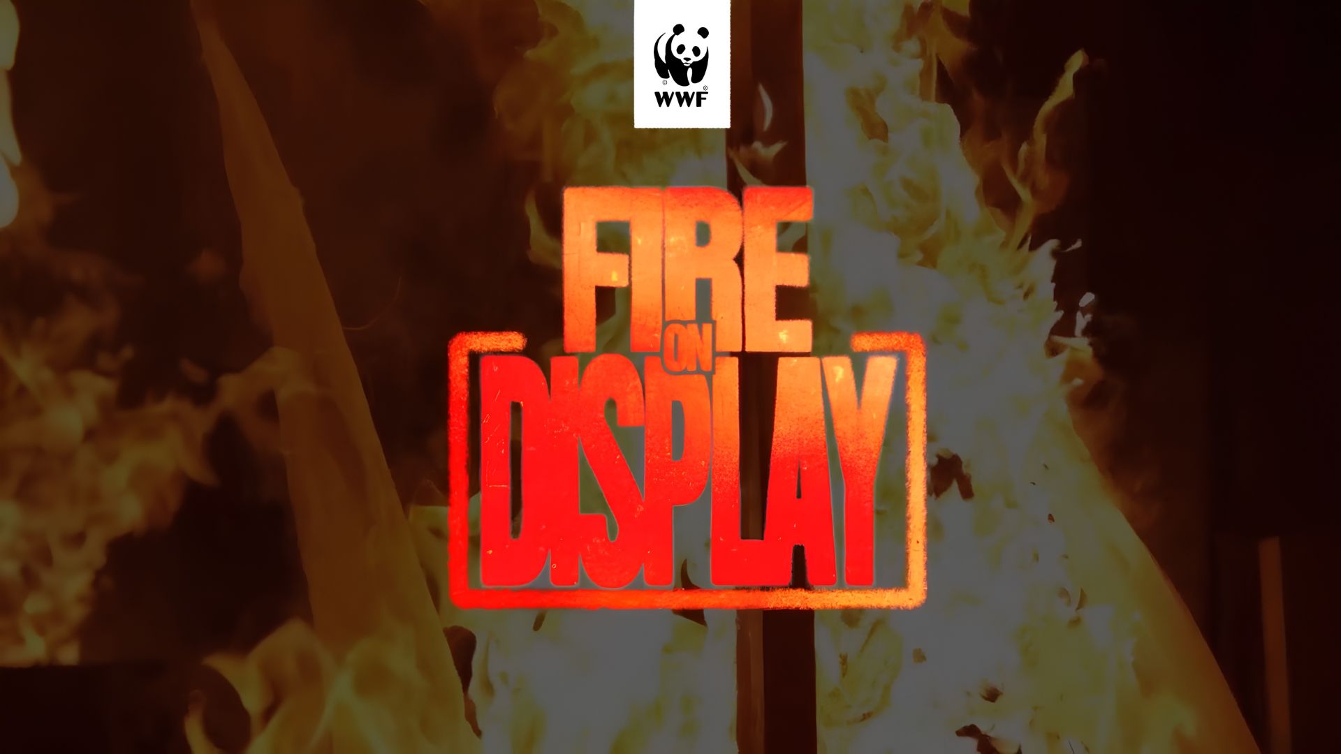 O Ads of the World alerta para os incêndios florestais