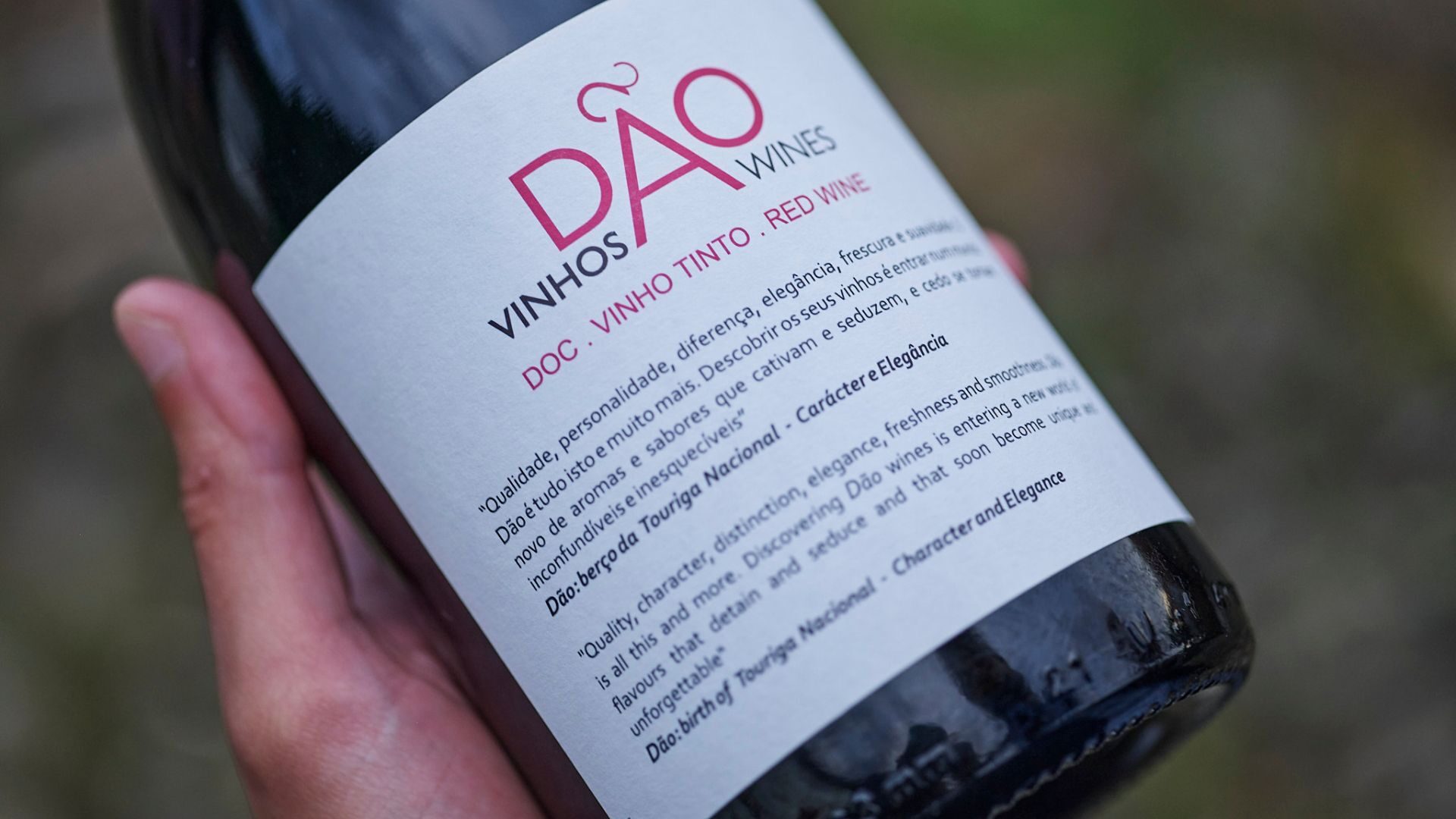 Dão prevê aumento da produção de vinho na vindima deste ano