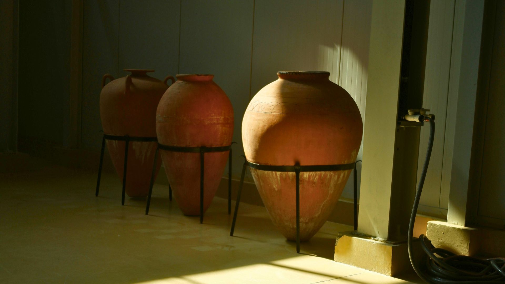Alentejo cria selos para vinhas antigas e alarga certificação do Vinho de Talha