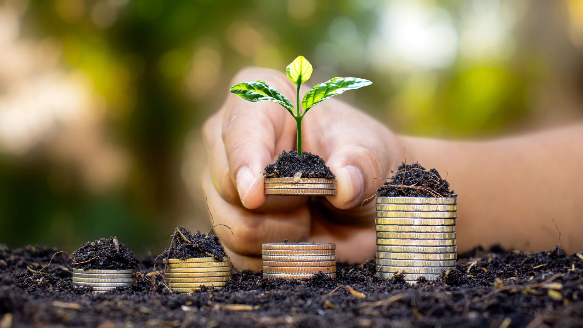 Economia circular pode poupar centenas de euros às famílias