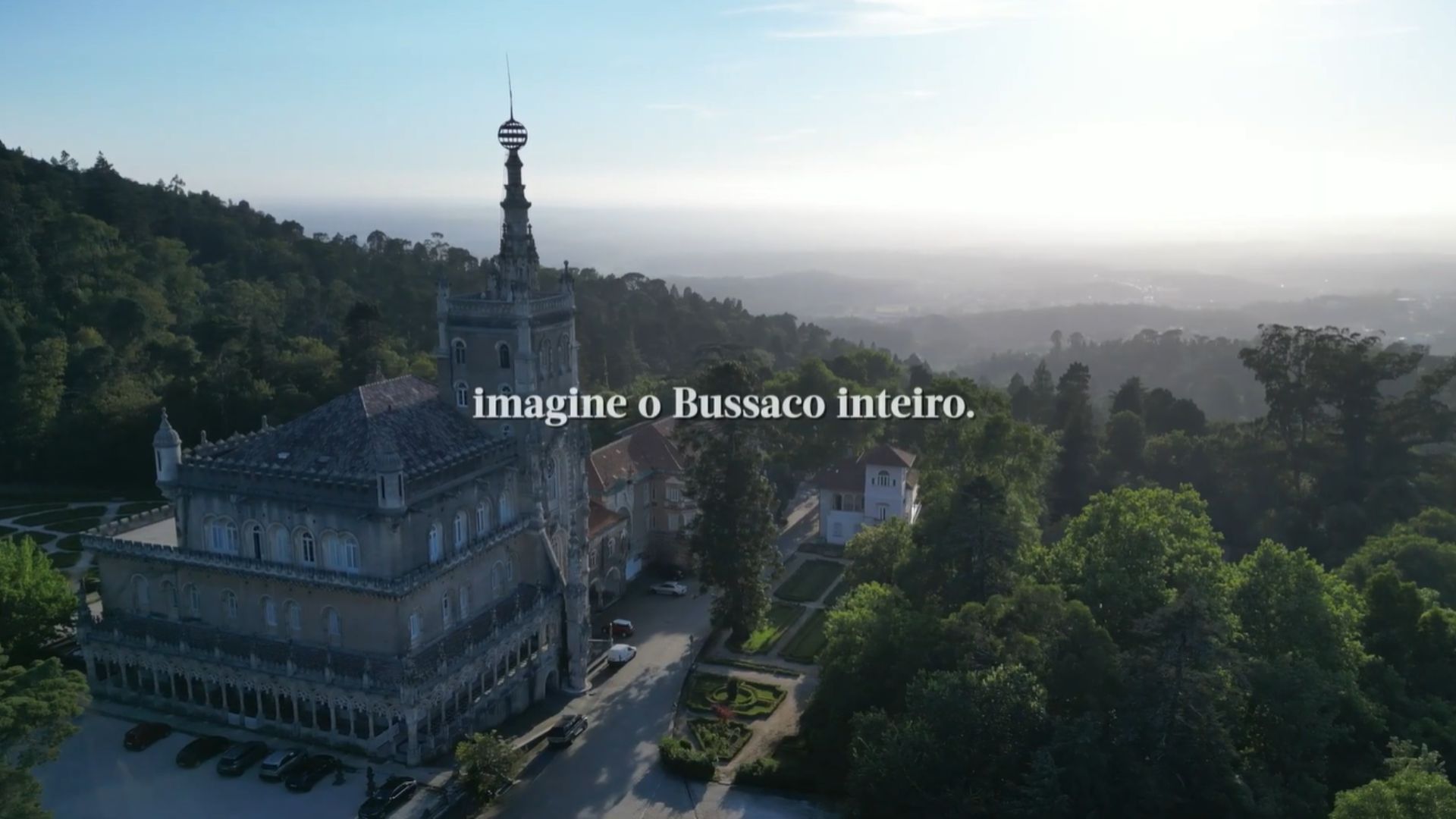 A Coming Soon conta “A História de uma Árvore”