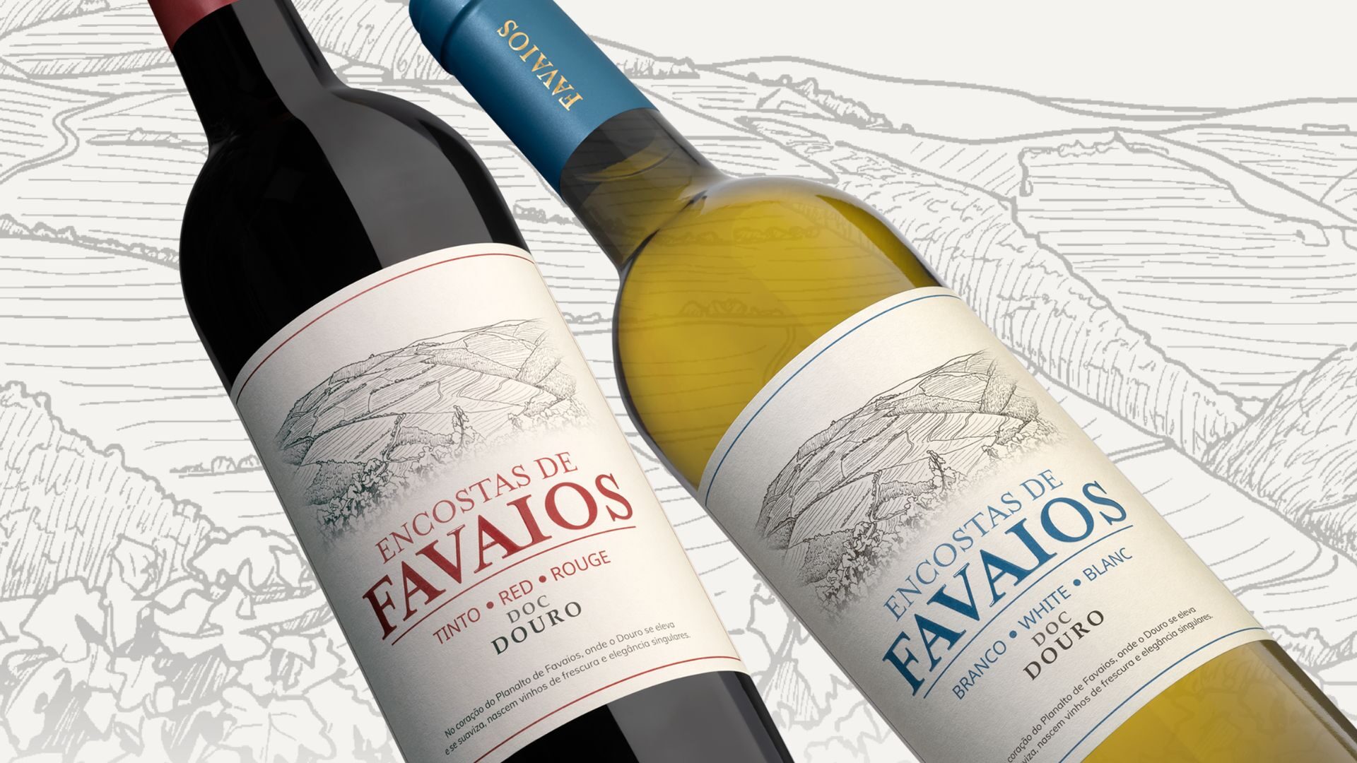 Os vinhos Encostas de Favaios têm uma nova cara