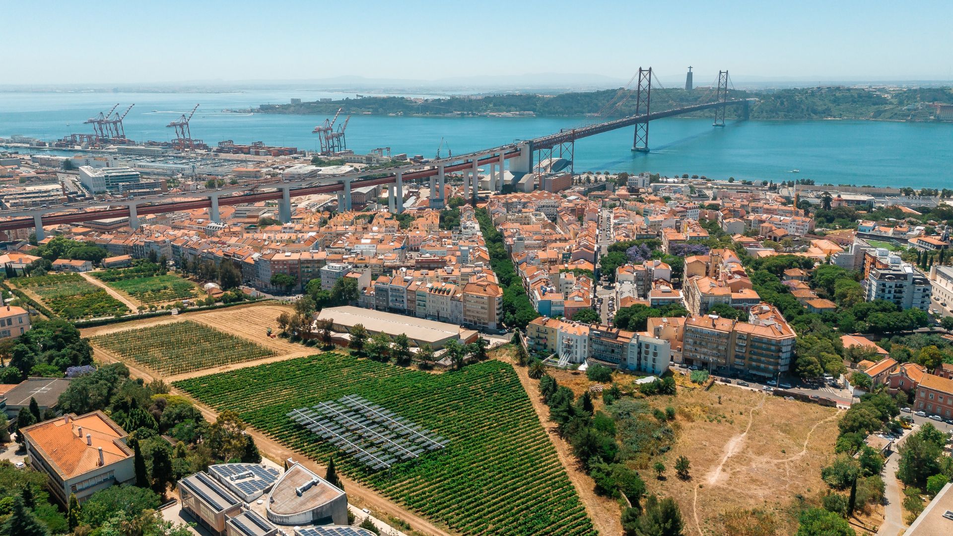 Galp e ISA dão energia a novo vinho