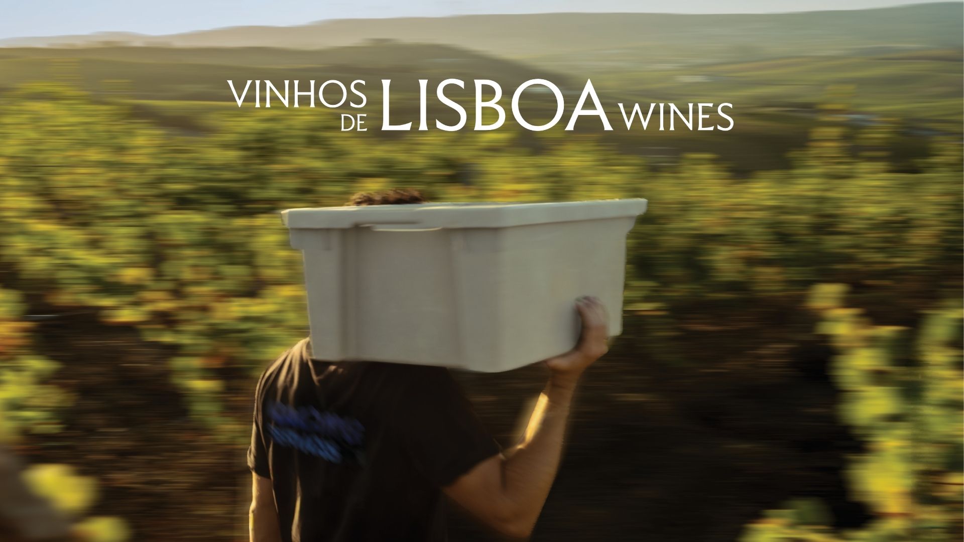 Os Vinhos de Lisboa brindam a uma nova identidade